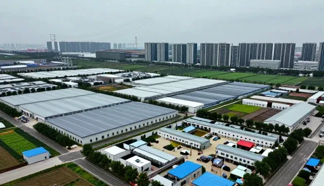 信息验证在财税咨询中的应用场景与业务趋势分析
